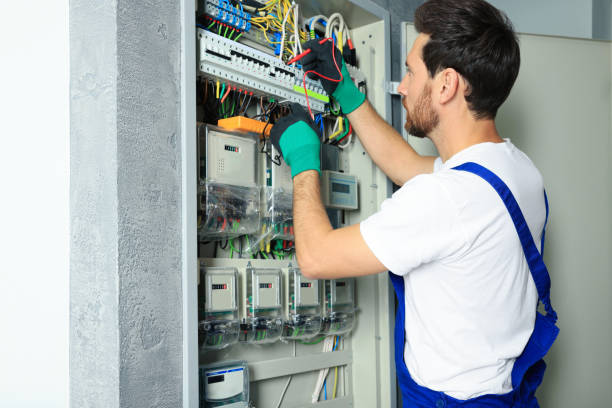 Best Electric Panel Repair  in Collinsville, VA